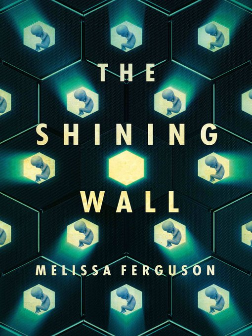 Title details for The Shining Wall by Melissa Ferguson - Available